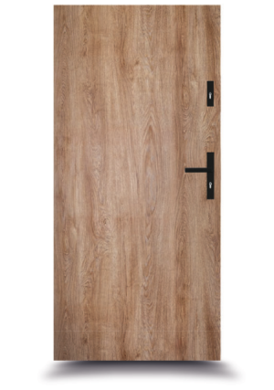 drzwi stalowe FortisLine Thermo 72